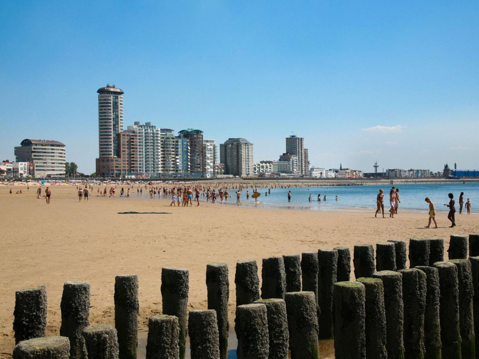 Great In Near Vlissingen